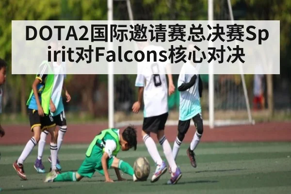 DOTA2国际邀请赛总决赛Spirit对Falcons核心对决